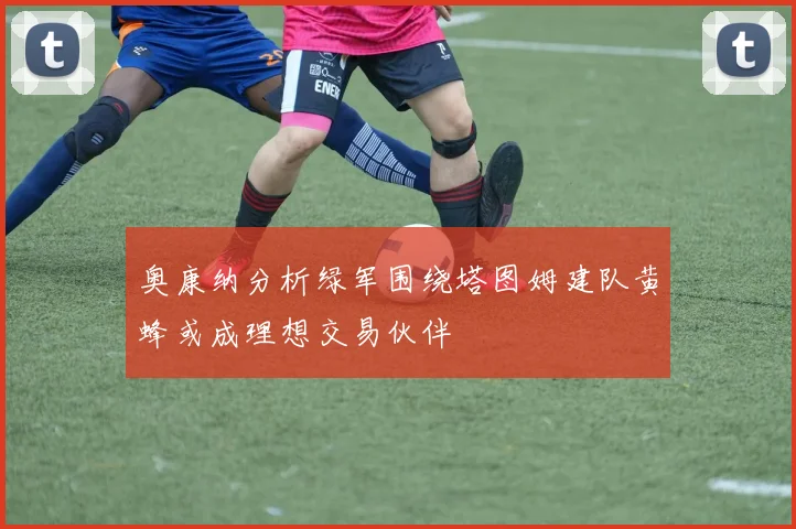 奥康纳分析绿军围绕塔图姆建队黄蜂或成理想交易伙伴